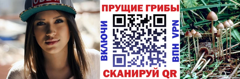 Купить  Урай  Галлюциногенные грибы MAGIC MUSHROOMS 